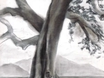 baobab 2