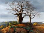 les baobabs de Hajungoua