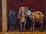 moutons sur une terrasse