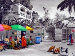 Chêvres au marché