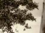 DSC05694