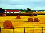 meules en Vendée 1