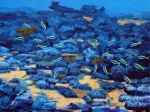 les poissons bleus