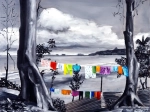 08 Linge entre deux arbres