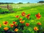 fleurs des champs