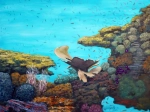 54 Coraux et mer turquoise