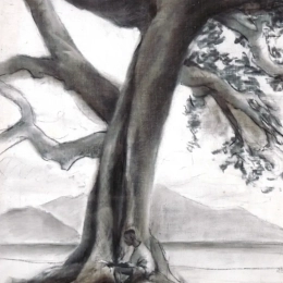 baobab 2