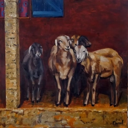 moutons sur une terrasse