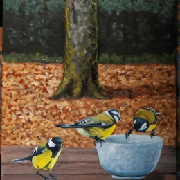 Oiseaux