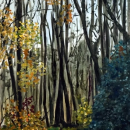chemin, Rambouillet