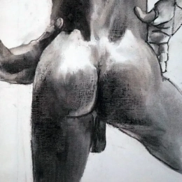 étude de fesses