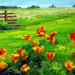 fleurs des champs