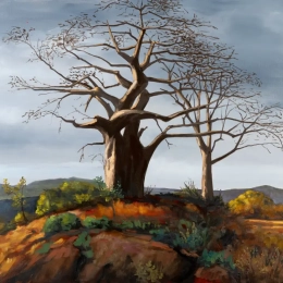 01 deux baobabs